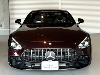 2025 Mercedes-BENZ GT AMG thumbnail 67