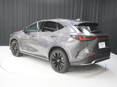 LEXUS NX - 8