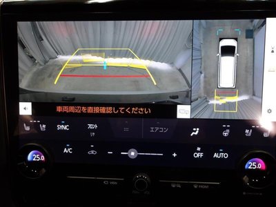 2024 Toyota ALPHARD 照片 6