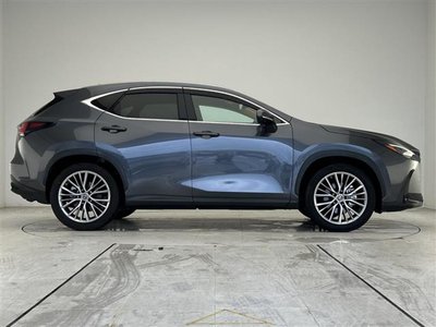 2022 Lexus NX thumbnail 19