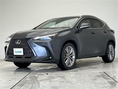 2022 Lexus NX thumbnail 34