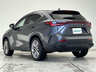 2022 Lexus NX thumbnail 20
