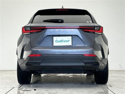 2022 Lexus NX thumbnail 43