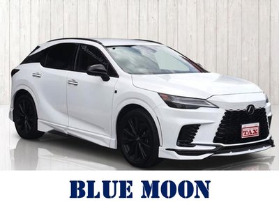 2023 Lexus RX 照片 2