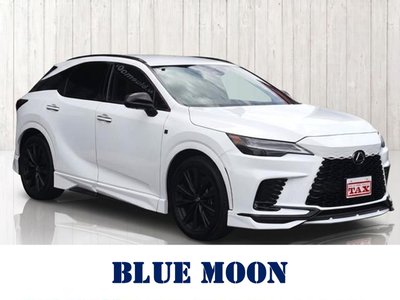 2023 Lexus RX 照片 4