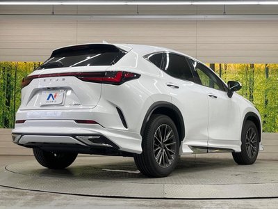 2025 Lexus NX thumbnail 17
