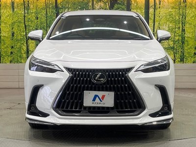 2025 Lexus NX thumbnail 14