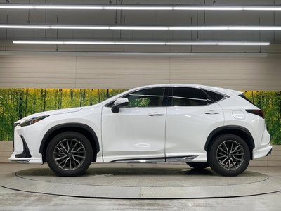 2025 Lexus NX thumbnail 47