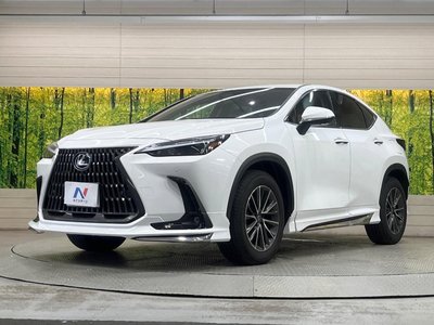 2025 Lexus NX thumbnail 46