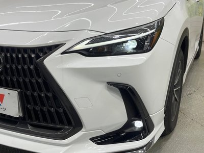 2025 Lexus NX thumbnail 12