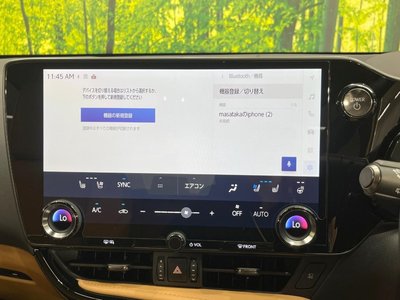 2025 Lexus NX thumbnail 31