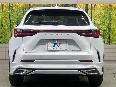 2025 Lexus NX thumbnail 15
