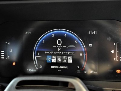 TOYOTA LAND CRUISER 250 - 8