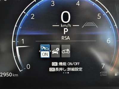 TOYOTA LAND CRUISER 250 - 10
