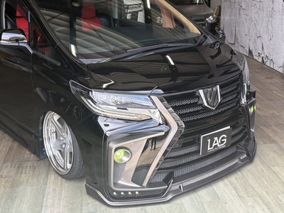 2020 Toyota ALPHARD — фото 4