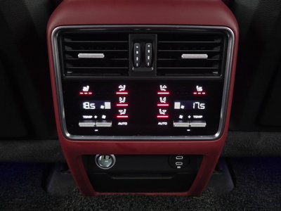 2021 Porsche CAYENNE 缩略图 19