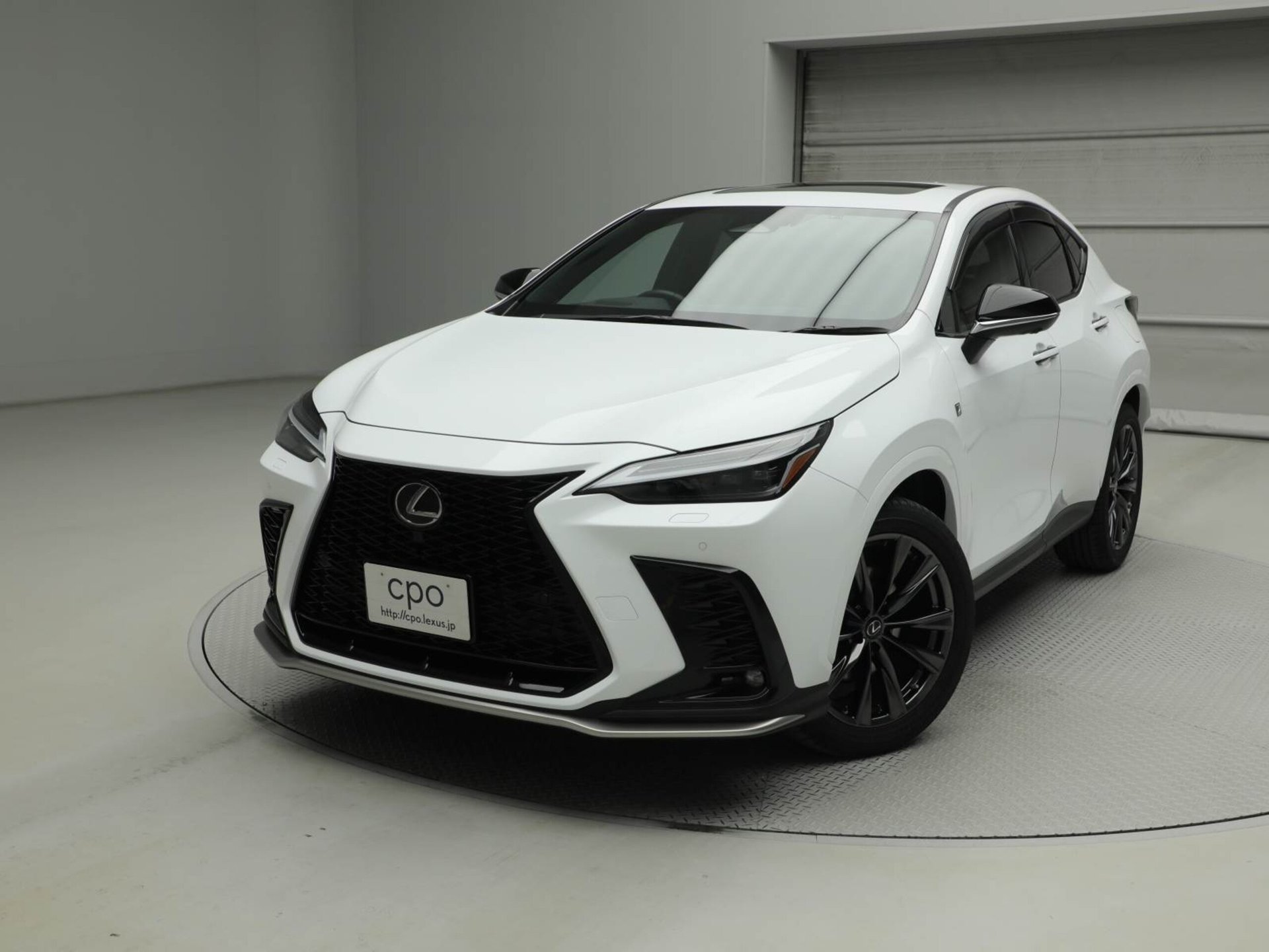 LEXUS NX - View 1
