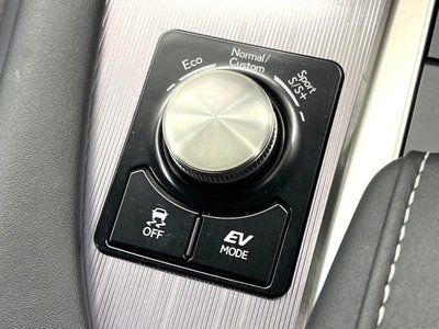 2021 Lexus RX thumbnail 61