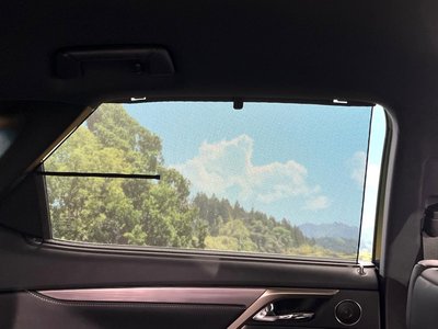 2021 Lexus RX thumbnail 38