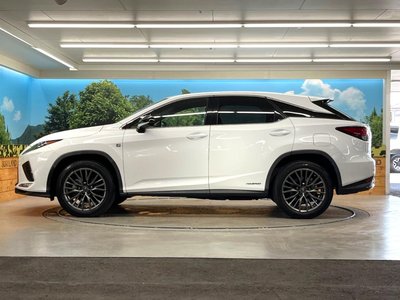 2021 Lexus RX thumbnail 29