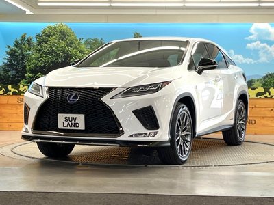 2021 Lexus RX thumbnail 28