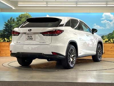 2021 Lexus RX thumbnail 17