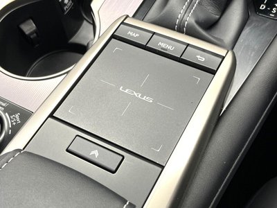 2021 Lexus RX thumbnail 60