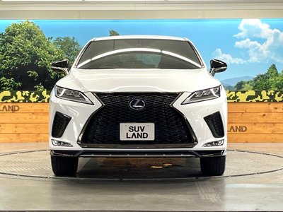 2021 Lexus RX thumbnail 14