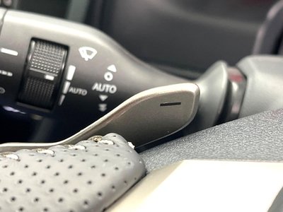 2021 Lexus RX thumbnail 52