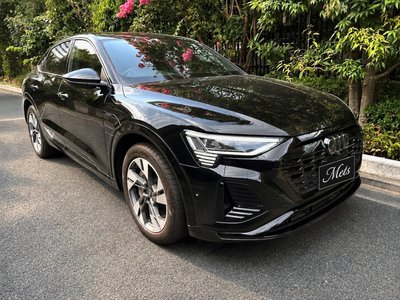 2024 AUDI Q8 SPORTBACK E-TRON — фото 3