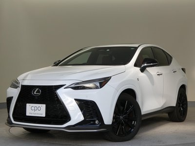 LEXUS NX - 1