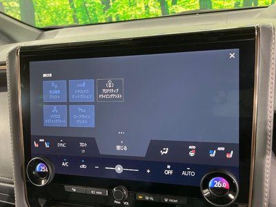 2023 Toyota ALPHARD 缩略图 41