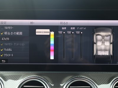 2018 Mercedes-BENZ E-CLASS AMG thumbnail 62