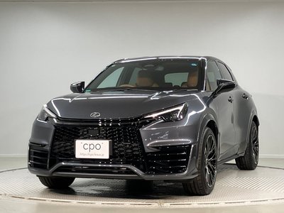 2025 Lexus LBX 照片 1