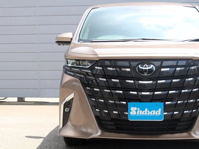 2024 TOYOTA ALPHARD — миниатюра 25
