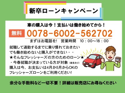 TOYOTA LAND CRUISER 70 - 5