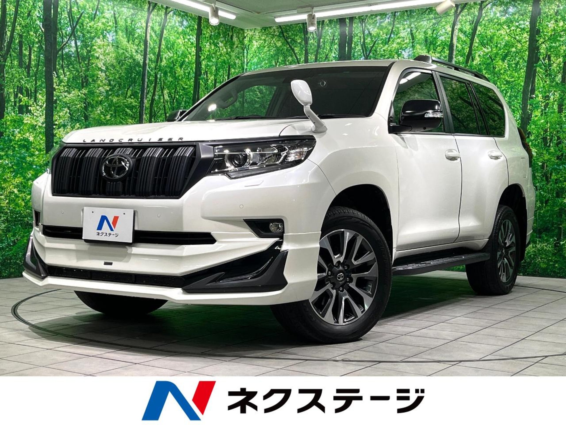 TOYOTA LAND CRUISER PRADO - View 1