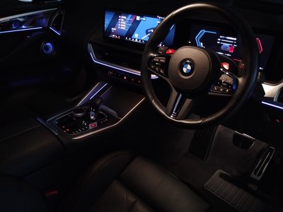 2025 BMW XM 缩略图 64