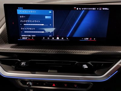 2025 BMW XM 缩略图 45