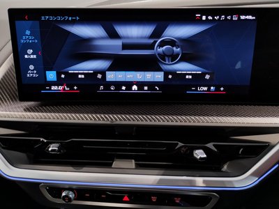 2025 BMW XM 缩略图 38