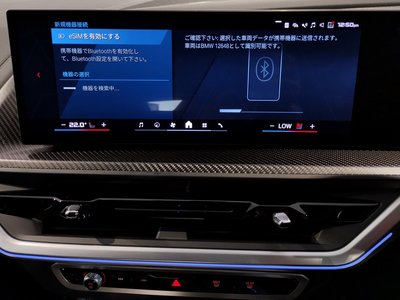 2025 BMW XM 缩略图 43