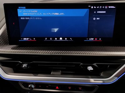 2025 BMW XM 缩略图 42