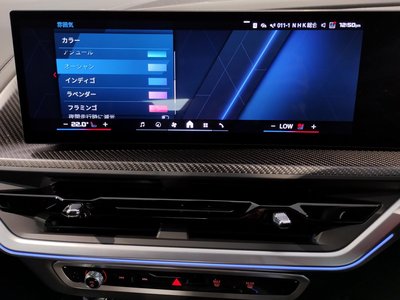 2025 BMW XM 缩略图 46
