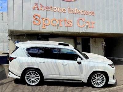 2025 Lexus LX — миниатюра 13