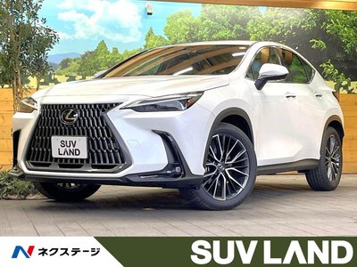 LEXUS NX - 1