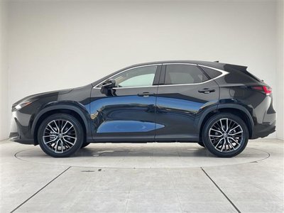 2023 Lexus NX — миниатюра 34