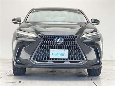 2023 Lexus NX — миниатюра 19