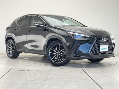 2023 Lexus NX — миниатюра 35