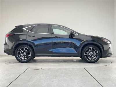2023 Lexus NX — миниатюра 20