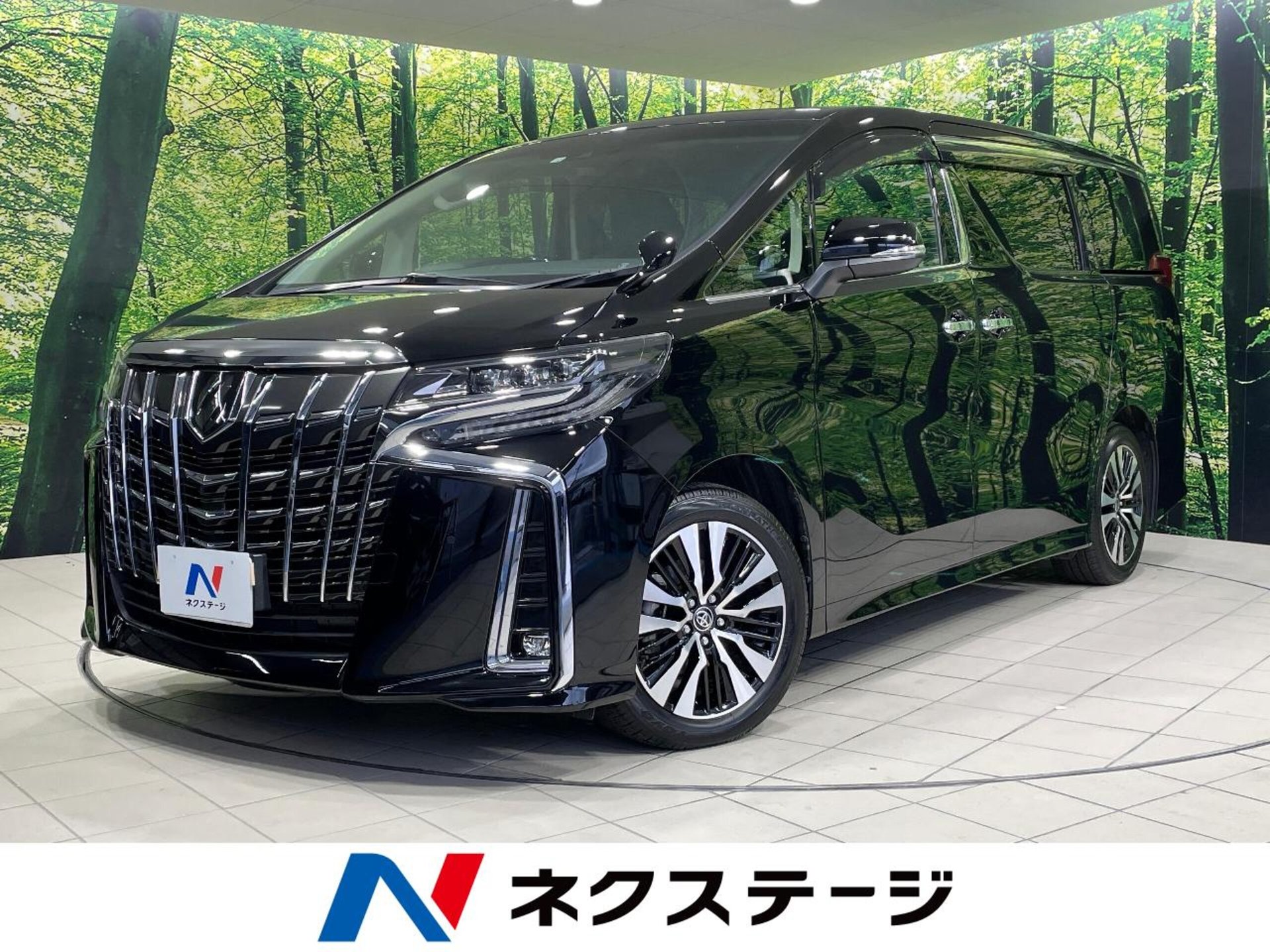 TOYOTA ALPHARD - View 1